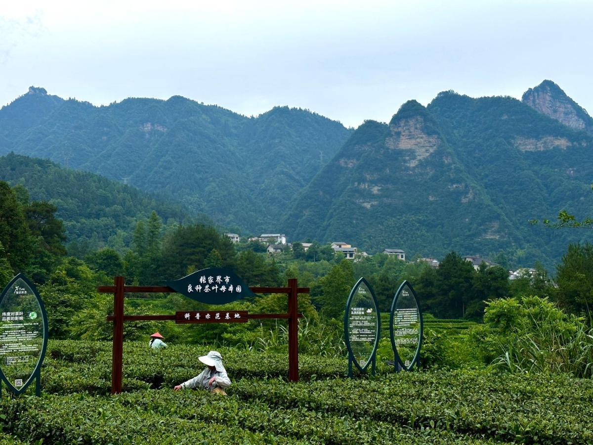 Zhangjiajie National Park Nvue Resorts Exteriér fotografie